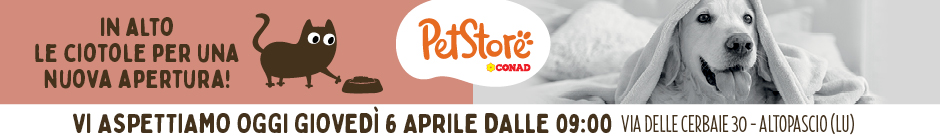 conad
