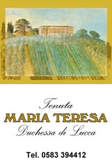 Tenuta maria teresa