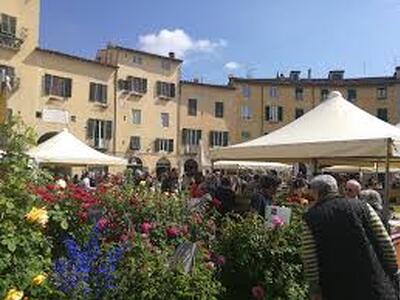 Lucca si veste di fiori e di dolci, torna la festa di Santa Zita