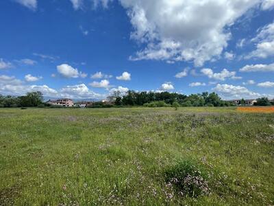 &quot;N-ettari di verde&quot;: Altopascio torna a investire sul verde urbano