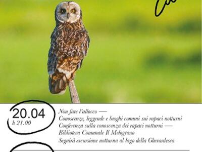 ‘Gufo Days’: sabato 20 e domenica 21 aprile due giornate di eventi con il noto ornitologo Marco Mastrorilli