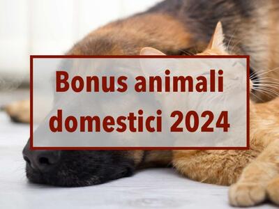Confermato anche per il 2024 il bonus animali introdotto dall’amministrazione: per le famiglie nuovi contributi a fondo perduto per il rimborso delle spese veterinarie