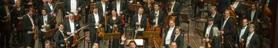 Carnicelli: "Meraviglioso il concerto della orchestra Wiener Philharmoniker"