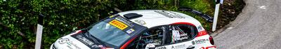Rudy Michelini settimo al Rally Internazionale del Taro: esordio sulla Citroën C3 Rally2 soddisfacente per il pilota lucchese