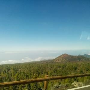 IMG-20220214-WA0069