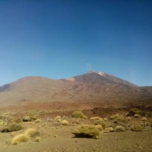 IMG-20220214-WA0100