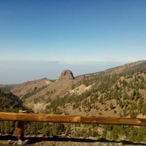 IMG-20220214-WA0113