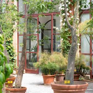 Orto Botanico 2