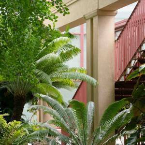 Orto Botanico 3