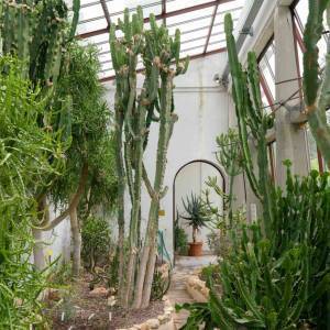 Orto Botanico