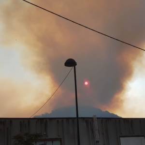 IMG-20220719-WA0011
