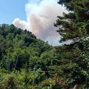 IMG-20220719-WA0013
