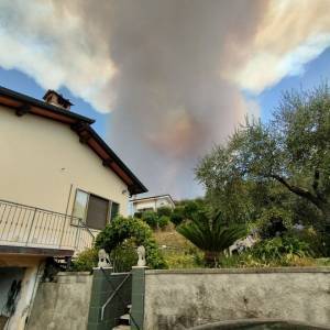 IMG-20220719-WA0017
