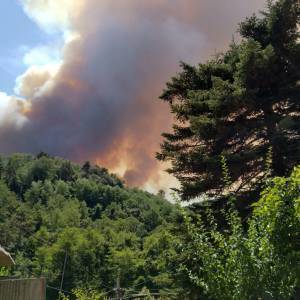 IMG-20220719-WA0018