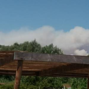 IMG-20220719-WA0026
