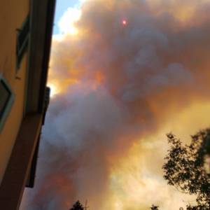 IMG-20220719-WA0055