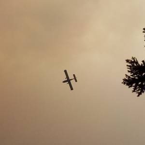 IMG-20220719-WA0065