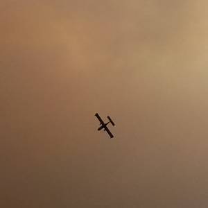 IMG-20220719-WA0066