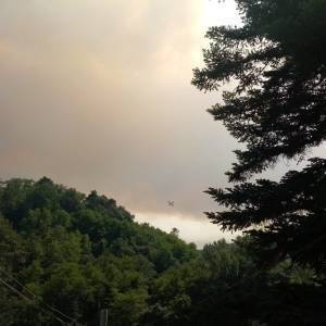 IMG-20220719-WA0067
