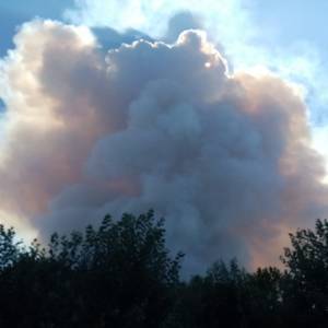 IMG-20220719-WA0071