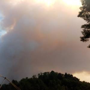 IMG-20220719-WA0072