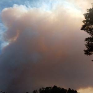 IMG-20220719-WA0073
