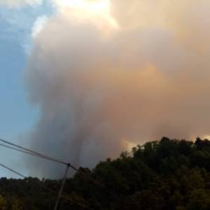 IMG-20220719-WA0074