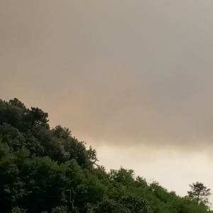 IMG-20220719-WA0076