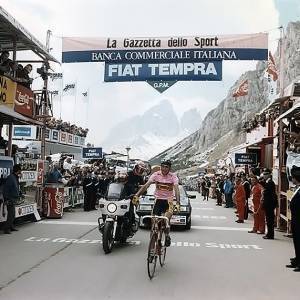 Fanini 10