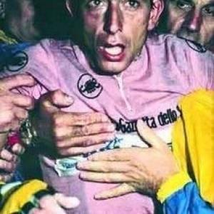 Fanini 19