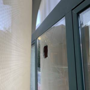 IMG-3294