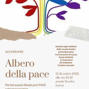 Albero della pace_page-def