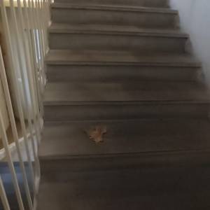 IMG-20230107-WA0003