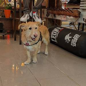 IMG-20230122-WA0022