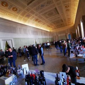 anteprima vini_2