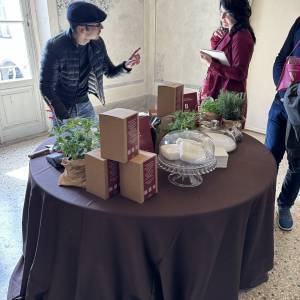 anteprima vini_