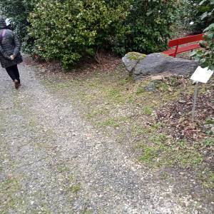 image0 (28)