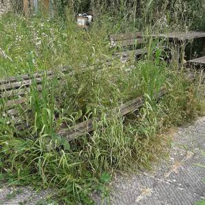 IMG-20230508-WA0031