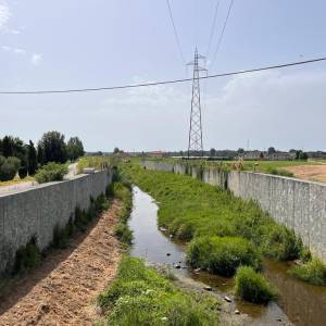 PHOTO-2023-07-12-15-38-06 3