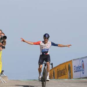 Wood Tour de France
