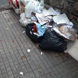 IMG-20231113-WA0000