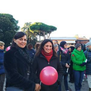 IMG-4452