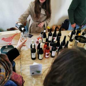anteprima vini_2023_7