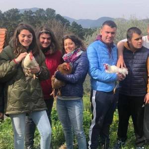 progetto scipione