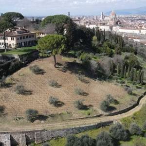 04 - Vigna Michelangelo, la prima vigna urbana moderna a Firenze