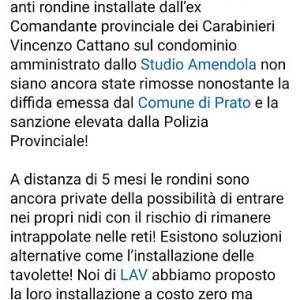 9 LAV PRATO 18.06.24