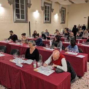 ildesco-edizione2023-2