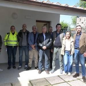 gattile foto 2